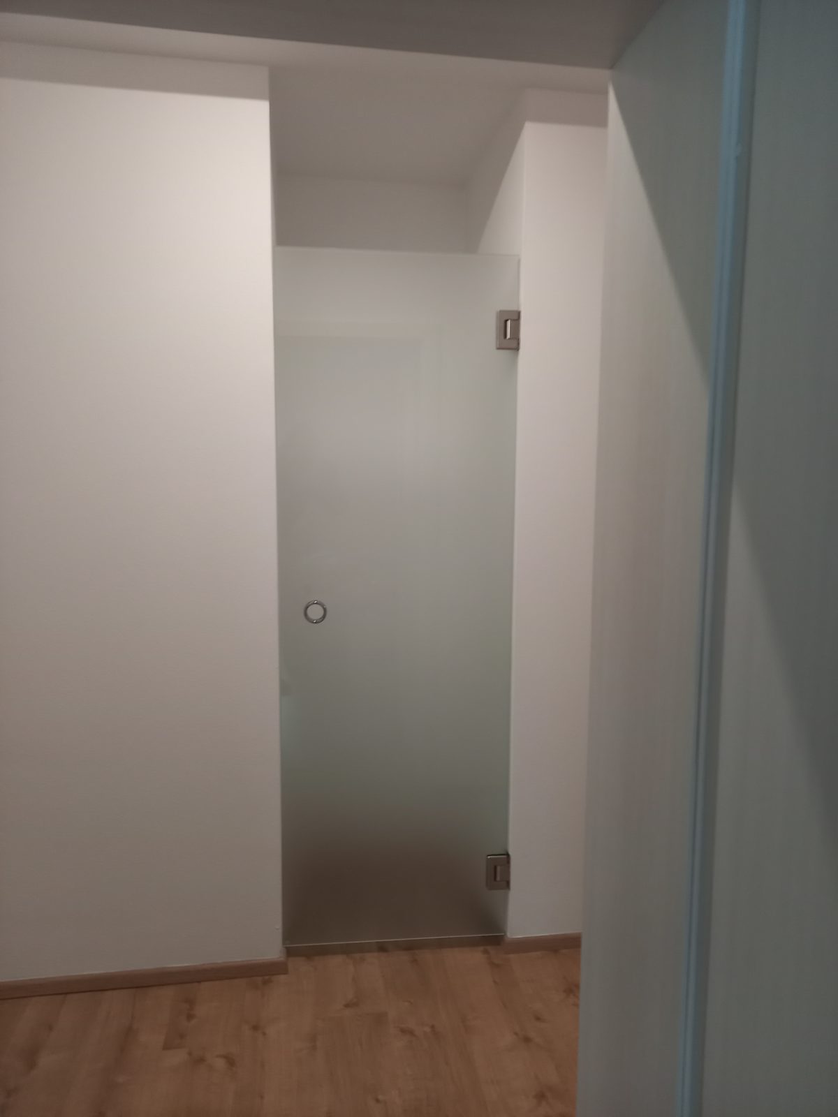 Celoskleněné dveře do šatny